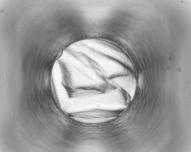 X0000088661444200706221623