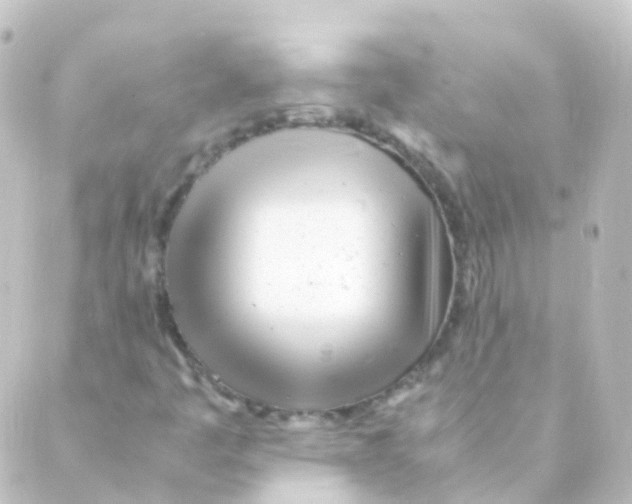 X0000088661445200706221623