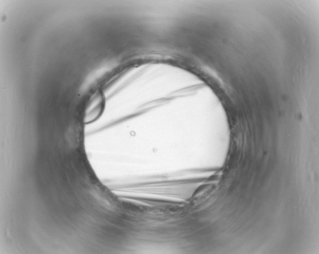 X0000088661448200706221623