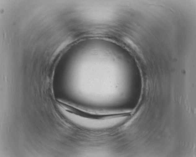 X0000088661449200706221623
