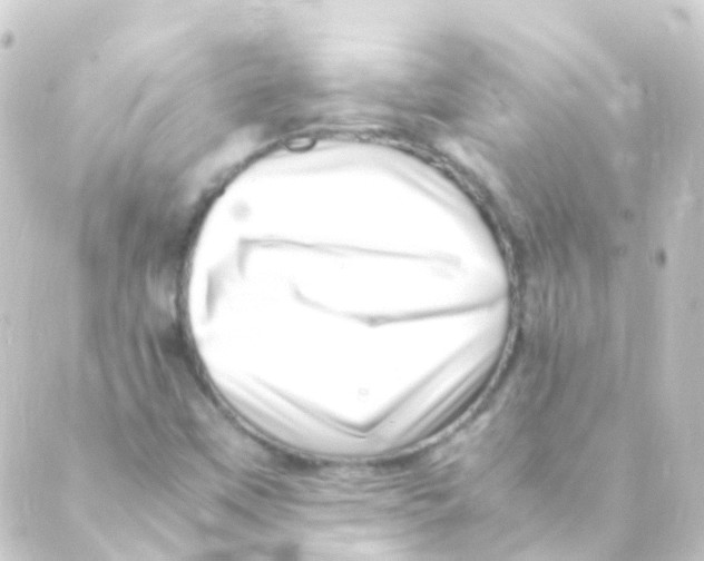 X0000088661451200706221623