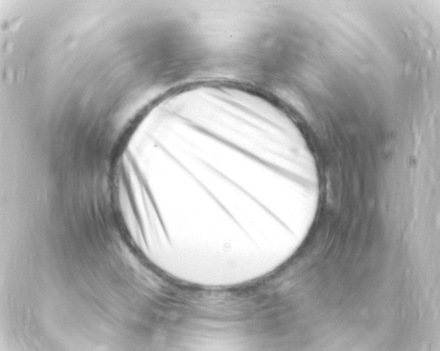 X0000088661452200706221623