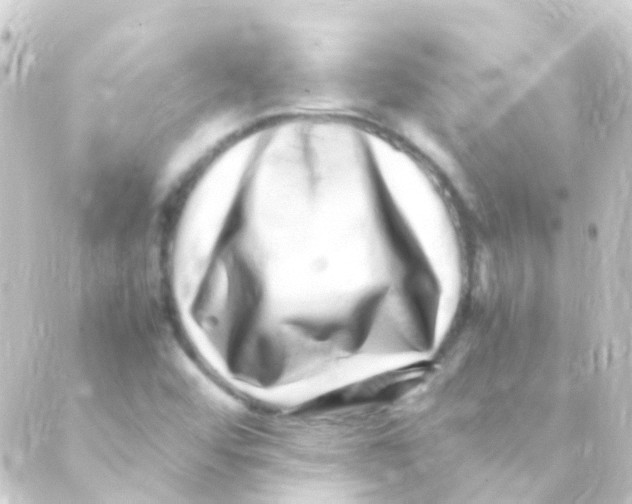 X0000088661456200706221623