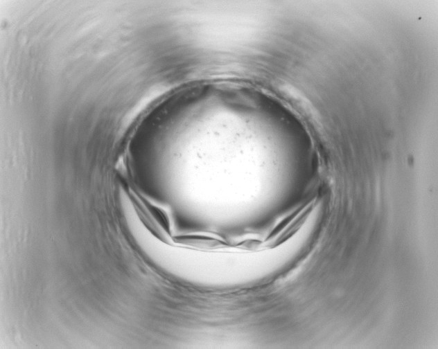 X0000088661457200706221623