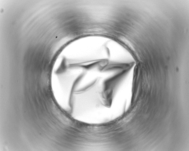X0000088661458200706221623
