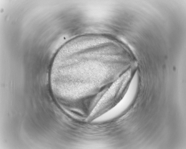 X0000088661459200706221623