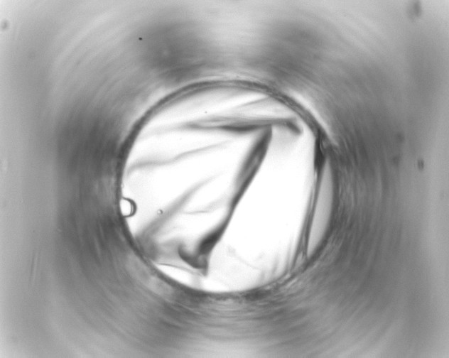 X0000088661460200706221623