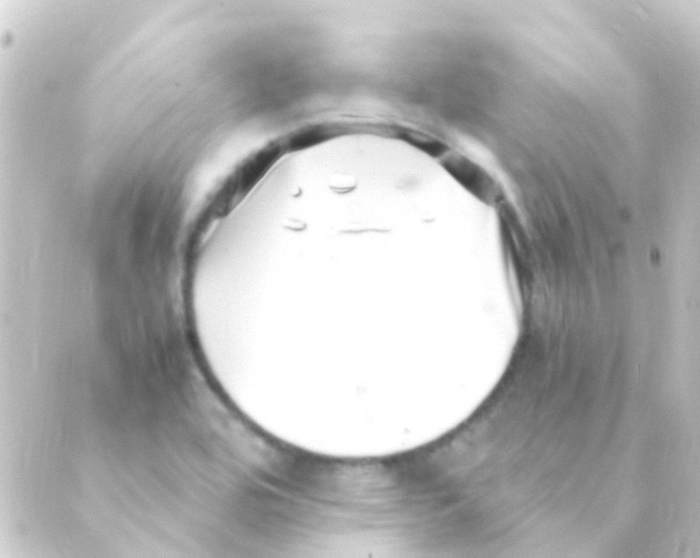 X0000088661464200706221623