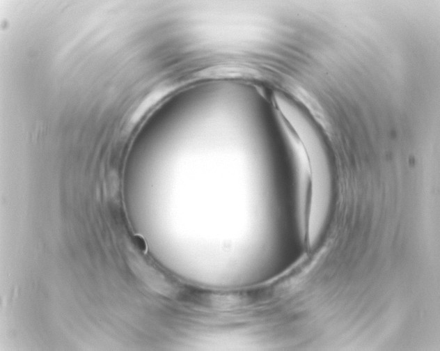 X0000088661465200706221623