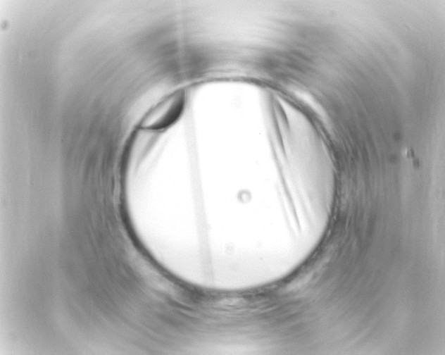 X0000088661467200706221623
