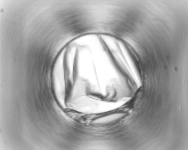 X0000088661468200706221623