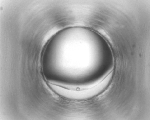X0000088661469200706221623