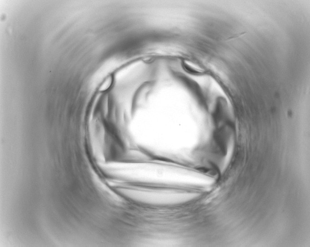 X0000088661471200706221623