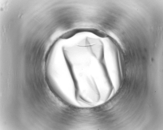 X0000088661472200706221623
