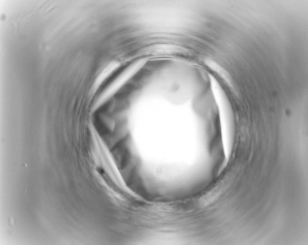 X0000088661473200706221623