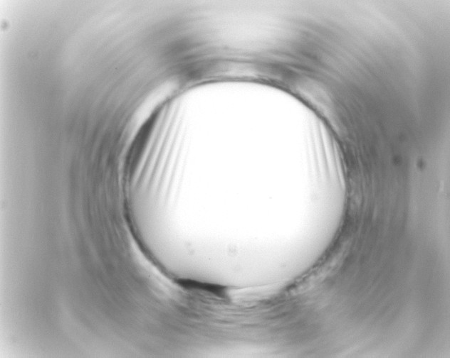 X0000088661475200706221623