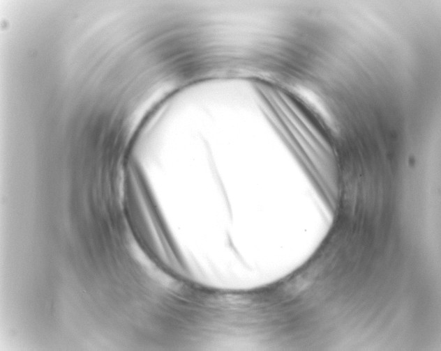 X0000088661476200706221623
