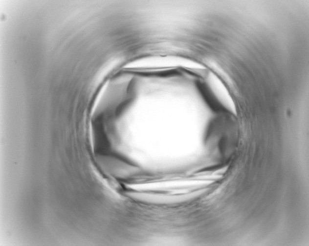 X0000088661477200706221623