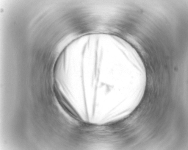 X0000088661479200706221623