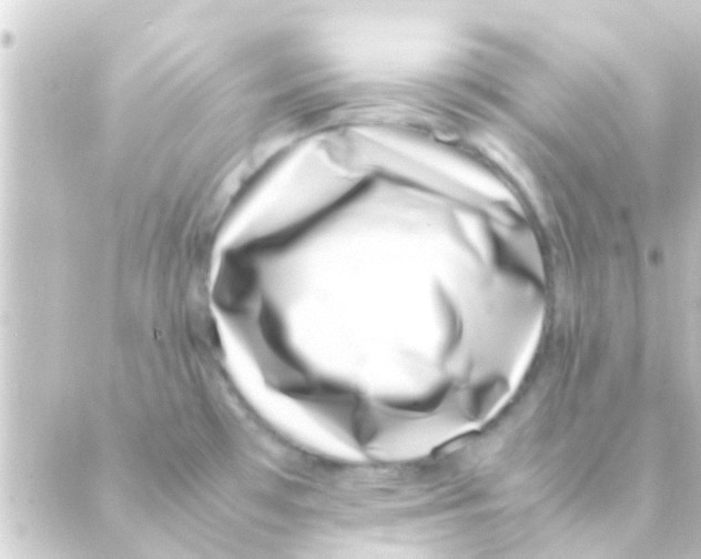 X0000088661481200706221623