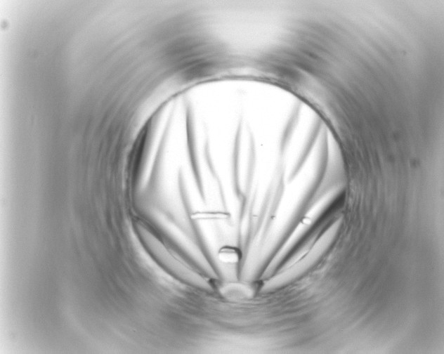 X0000088661483200706221623