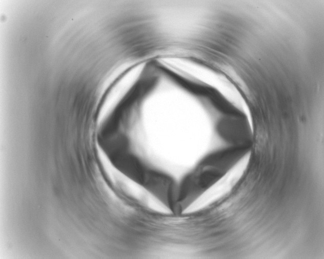 X0000088661484200706221623