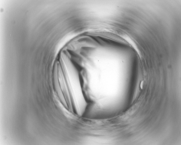 X0000088661485200706221623
