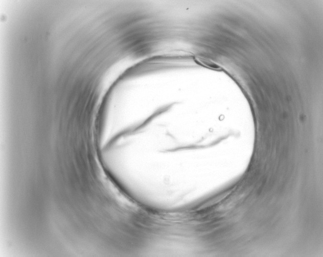 X0000088661488200706221623