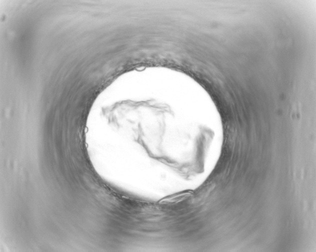 X0000088661489200706221622