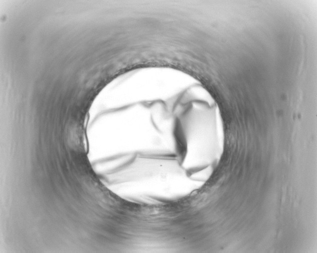 X0000088661490200706221622