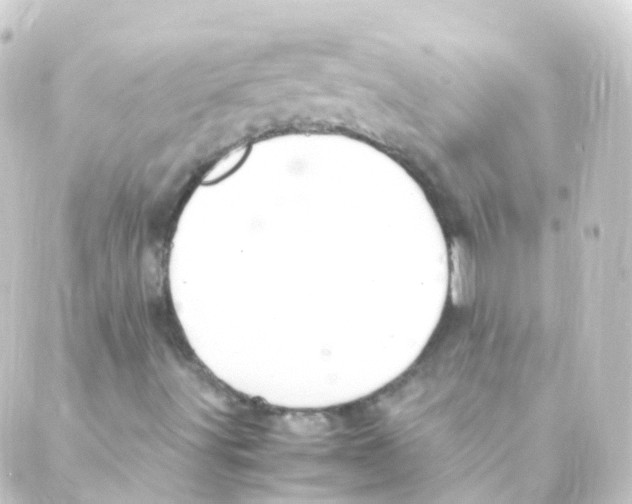 X0000088661491200706221622