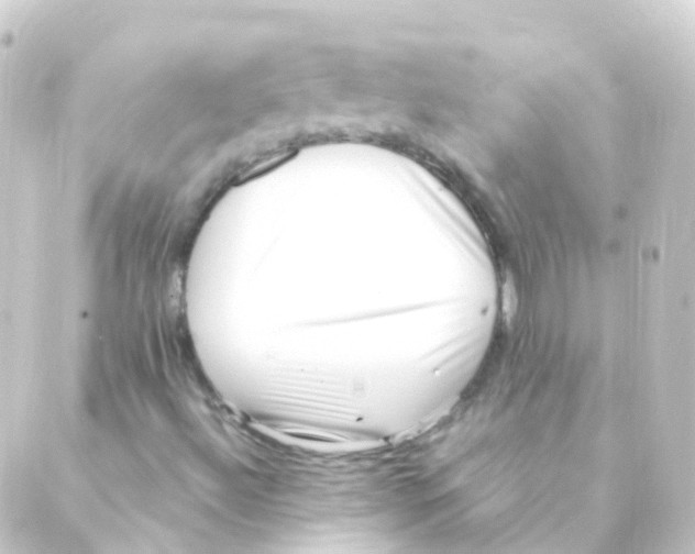 X0000088661492200706221622