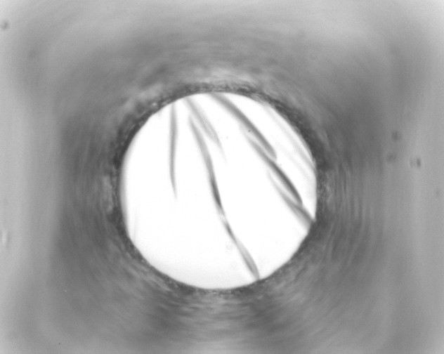 X0000088661493200706221622