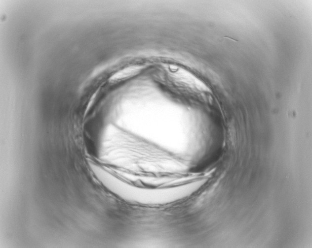 X0000088661494200706221622