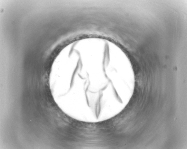 X0000088661495200706221622