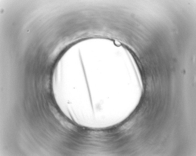 X0000088661499200706221622