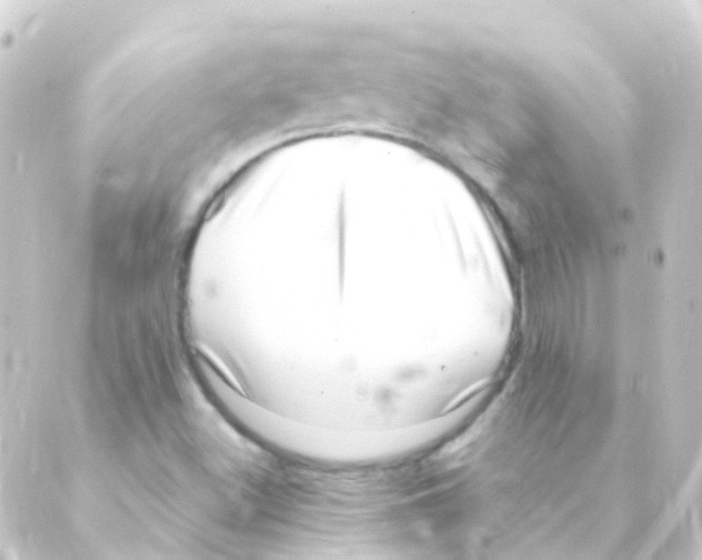X0000088661500200706221622