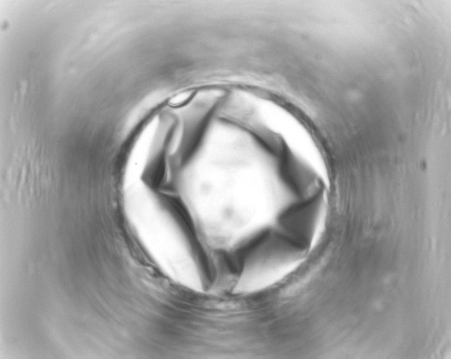 X0000088661501200706221622