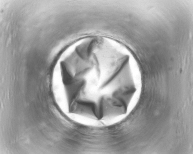 X0000088661503200706221622
