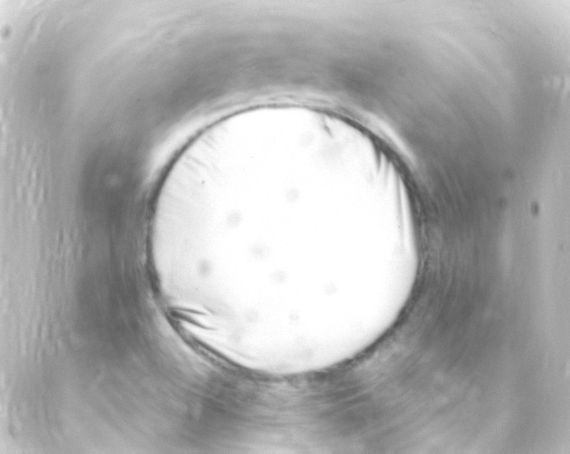 X0000088661504200706221622