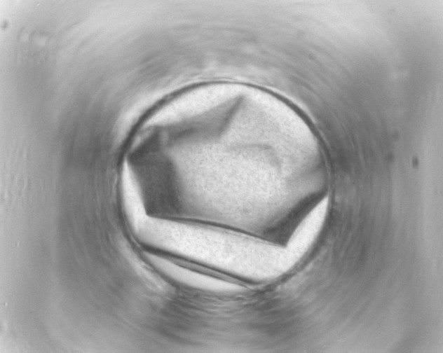 X0000088661507200706221622