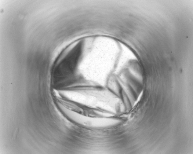 X0000088661508200706221622