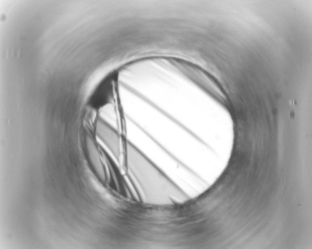 X0000088661511200706221622
