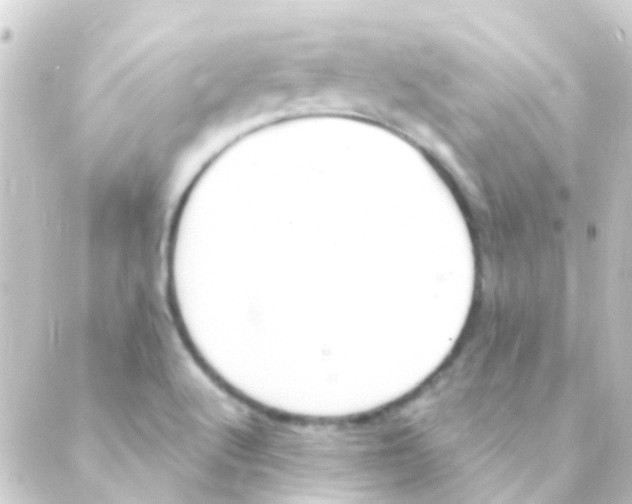 X0000088661512200706221622