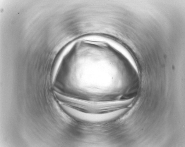 X0000088661513200706221622