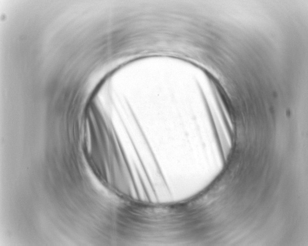 X0000088661515200706221622