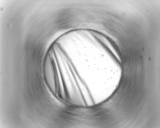 X0000088661517200706221622