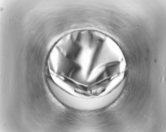 X0000088661518200706221622