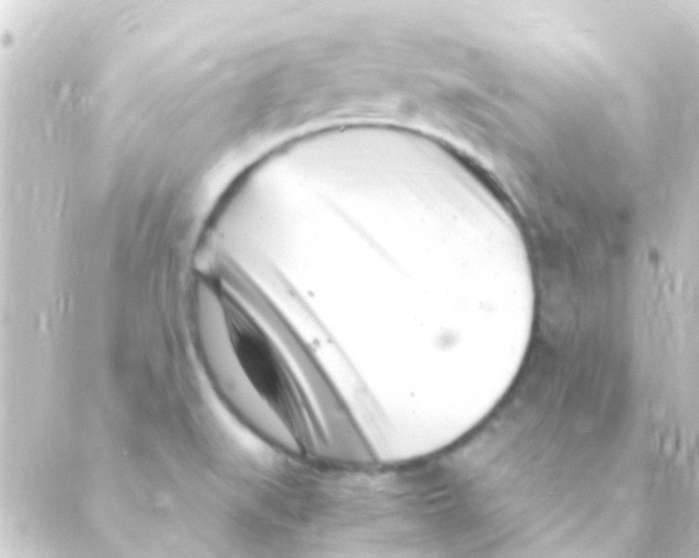 X0000088661519200706221622