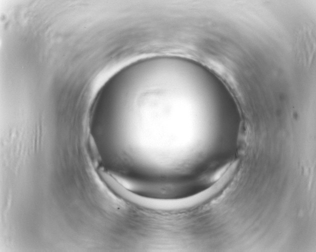 X0000088661520200706221622